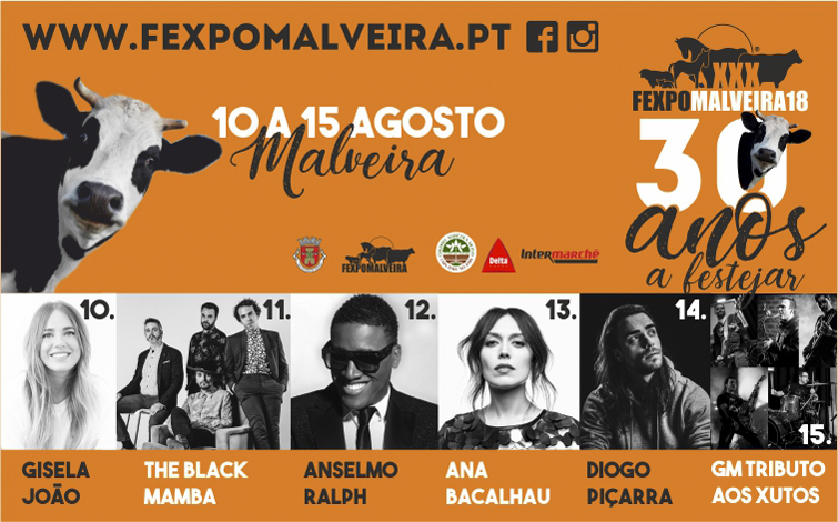 Resultado de imagem para fexpomalveira 2018